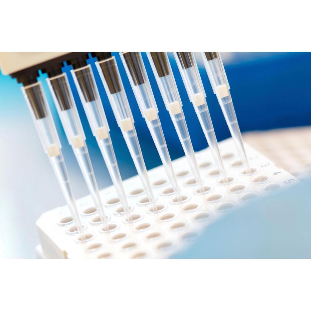 Filter Tips Sterile Clear