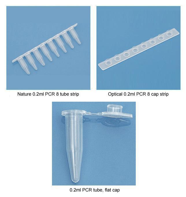 PCR Strips & Caps